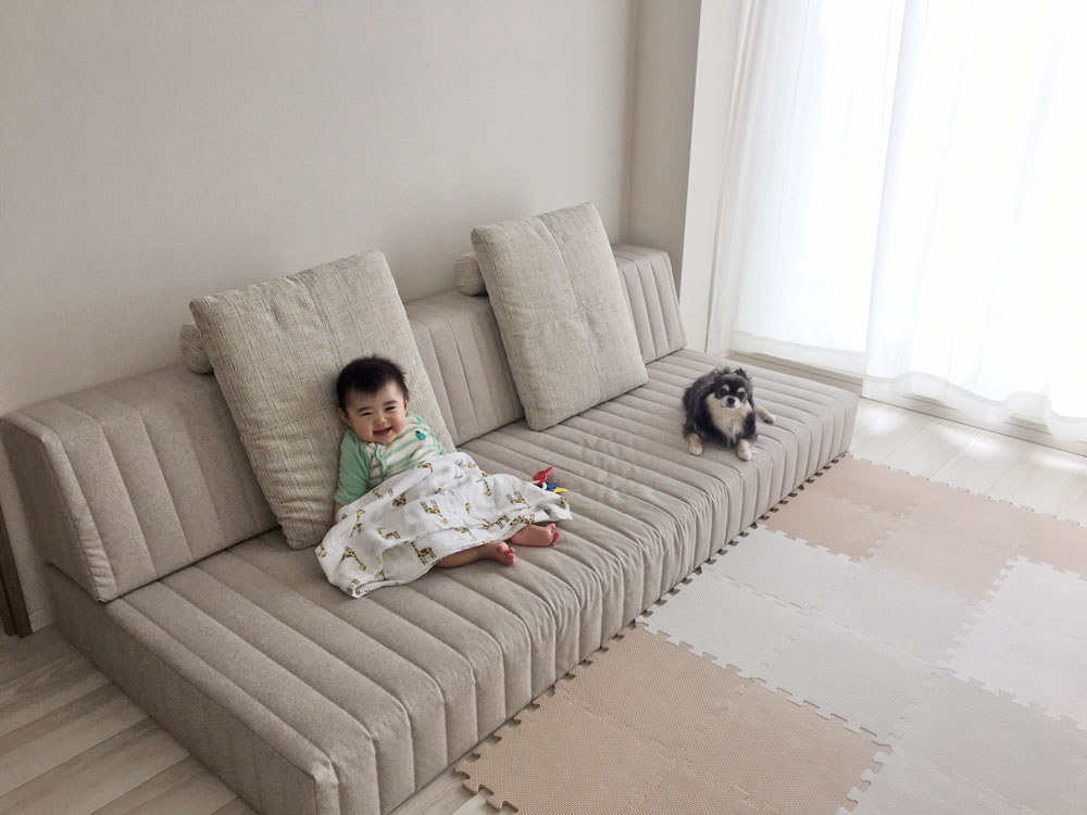 犬、猫、子供との暮らしに！ソファの張り地「ラムース」のこと。｜ローソファ専門店HAREM