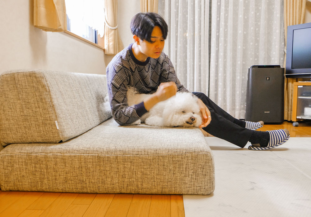 3匹の愛犬と始まった、ローソファのある暮らし。