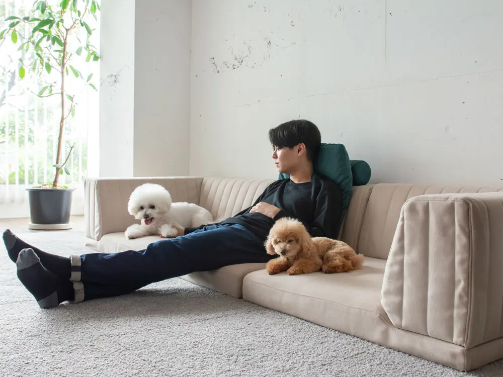 犬と人の暮らしにおすすめ！ローソファの選び方・完全版 - HAREM